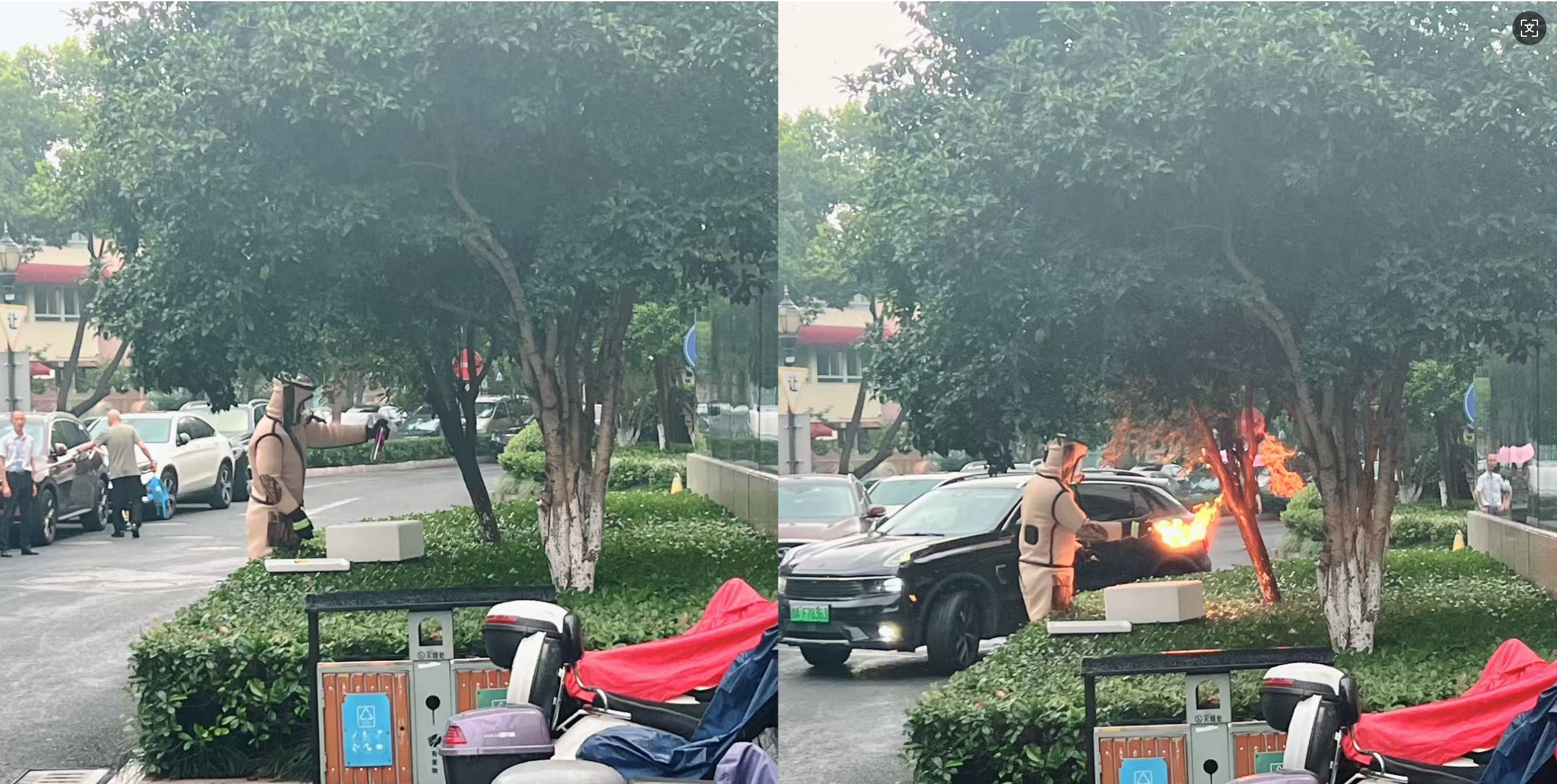 安全守護零距離，水晶城快速處置外圍蜂群隱患
