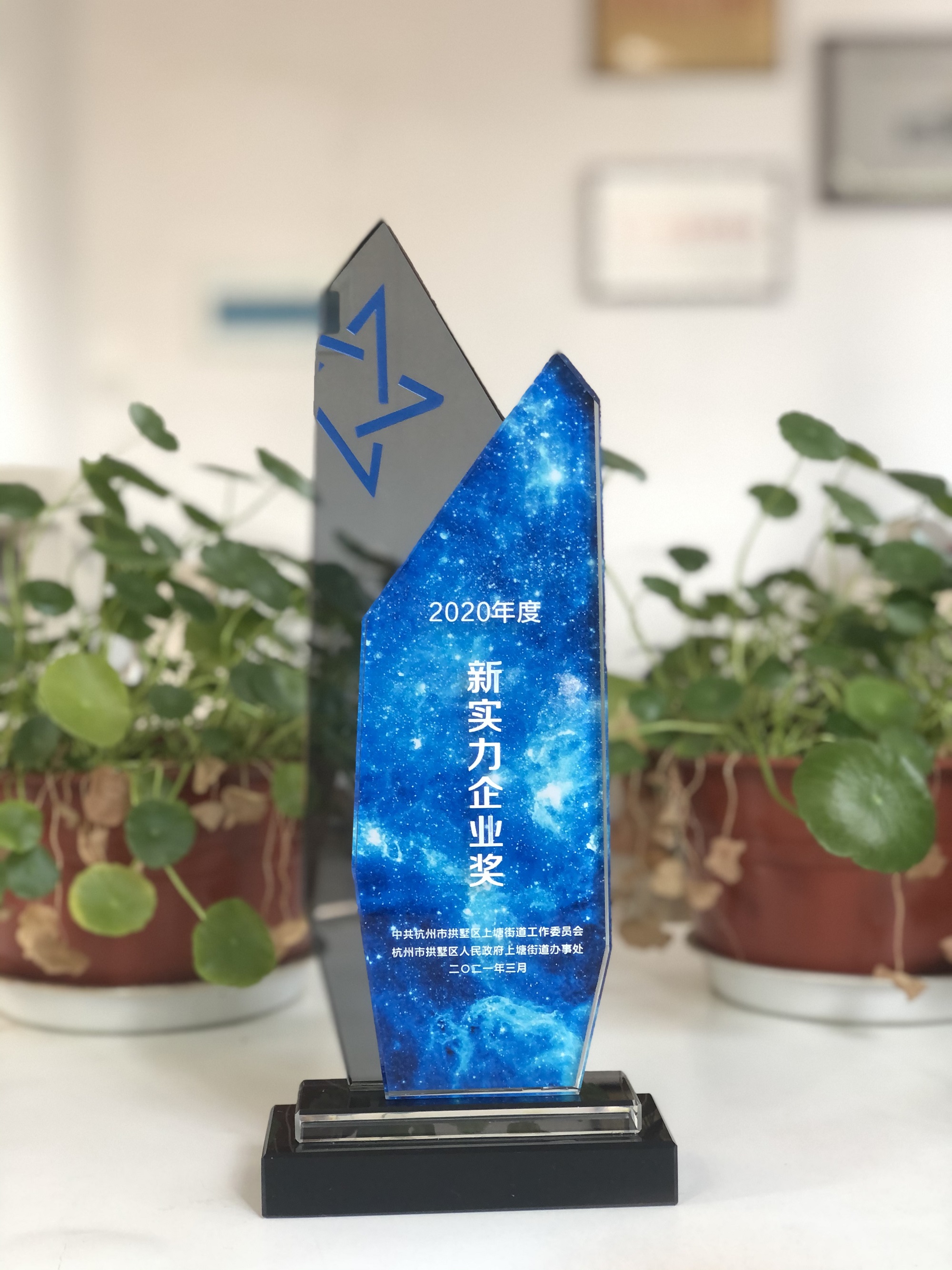 浙江建華網(wǎng)絡(luò)科技有限公司榮獲“新實力企業(yè)獎”